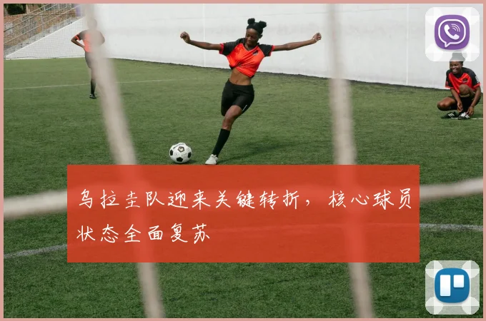 乌拉圭队迎来关键转折，核心球员状态全面复苏