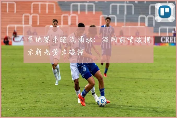 草地赛季暗流涌动：温网前哨战揭示新老势力碰撞