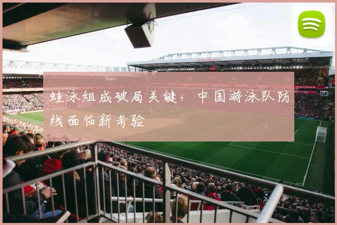 蛙泳组成破局关键，中国游泳队防线面临新考验